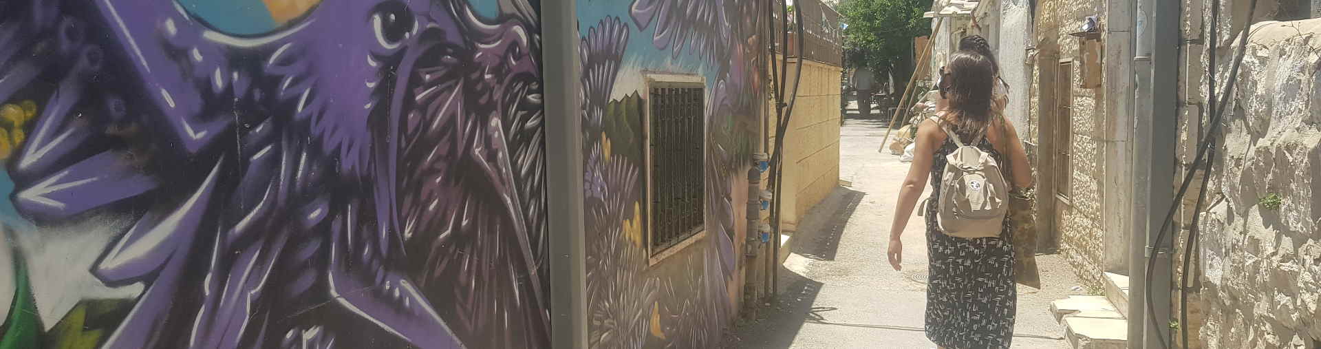 הדרכה על אמנות רחוב בירושלים