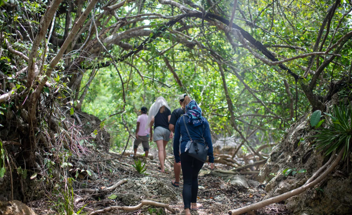 Bohol and Anda 2-day tour