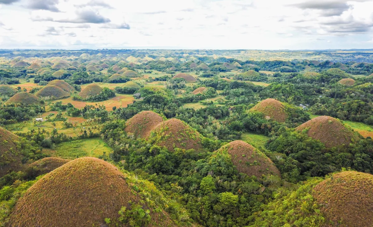 Chocolate Hills