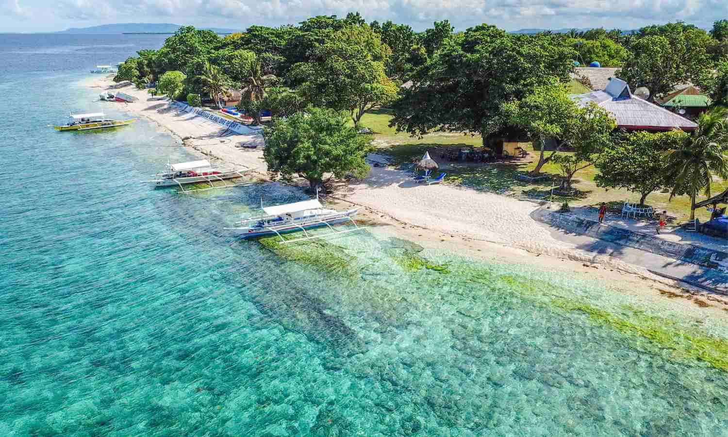 Balicasag Island 