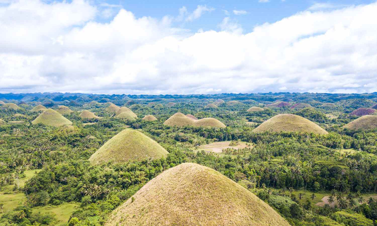 Chocolate Hills