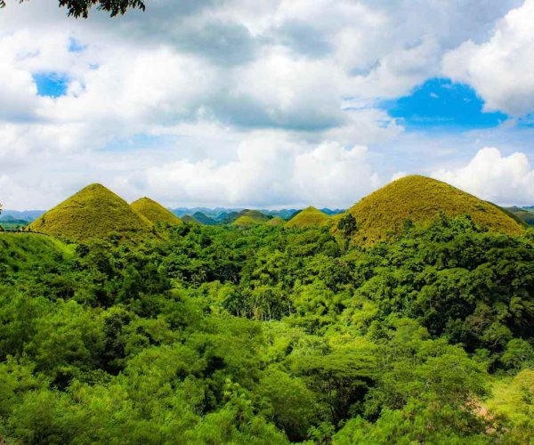 Chocolate Hills