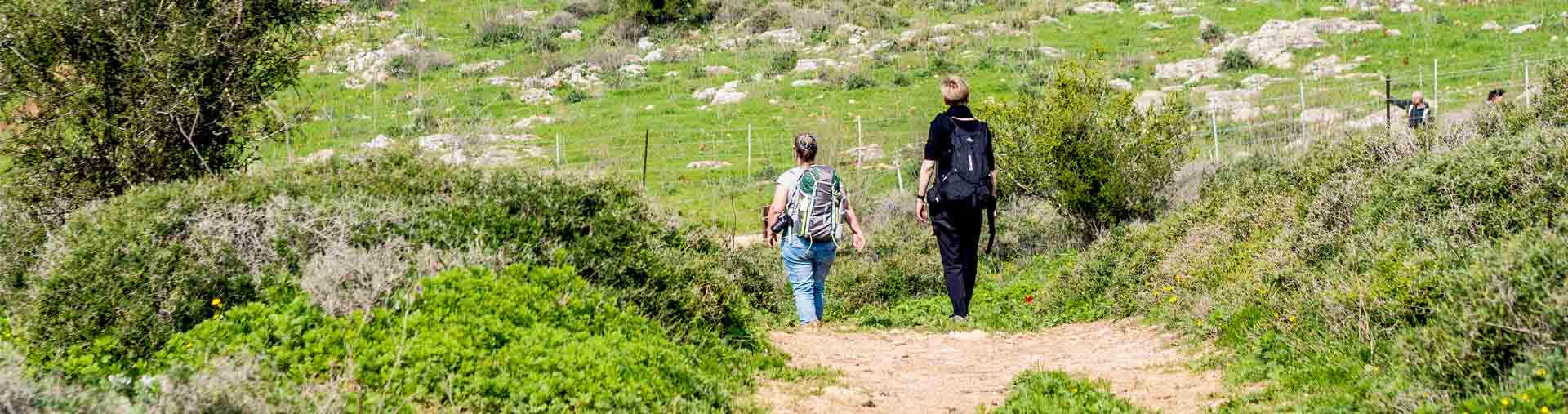 Jesus Trail Hiking Package from Tel Aviv