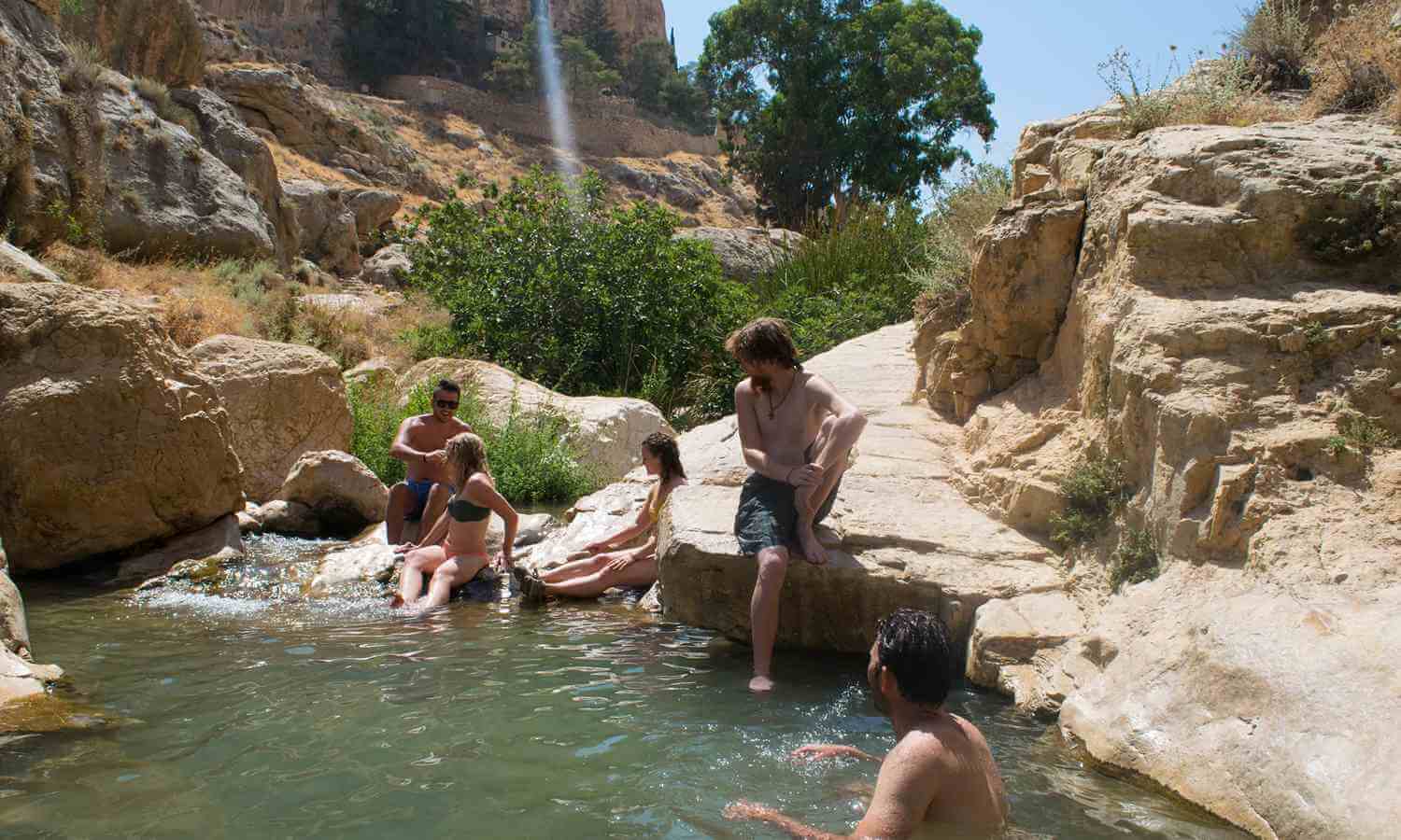 Ein Gedi